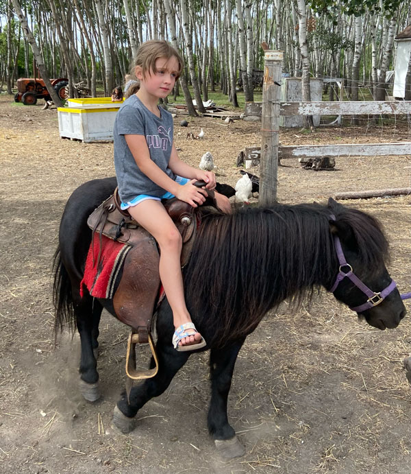 elara-horse-mountain-before