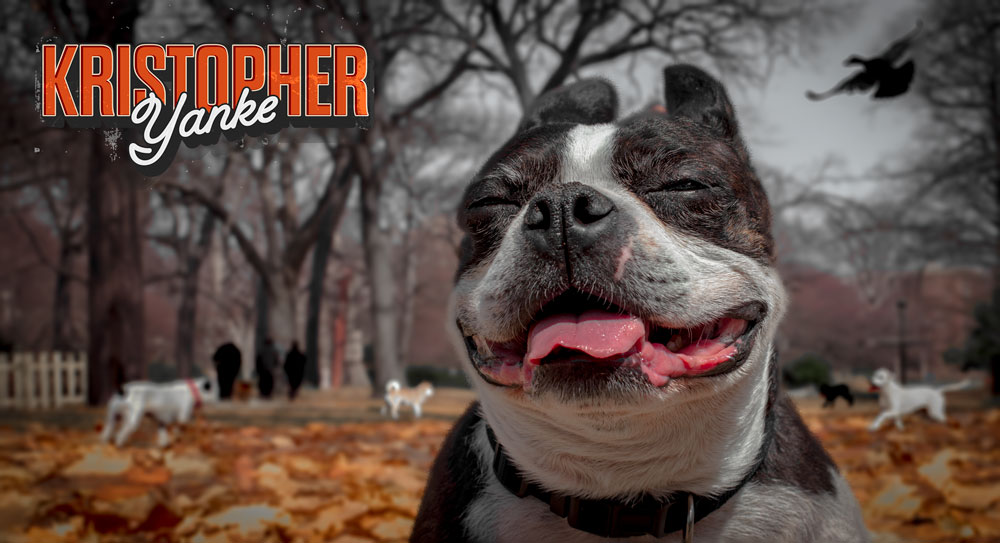 enzo-dog-park